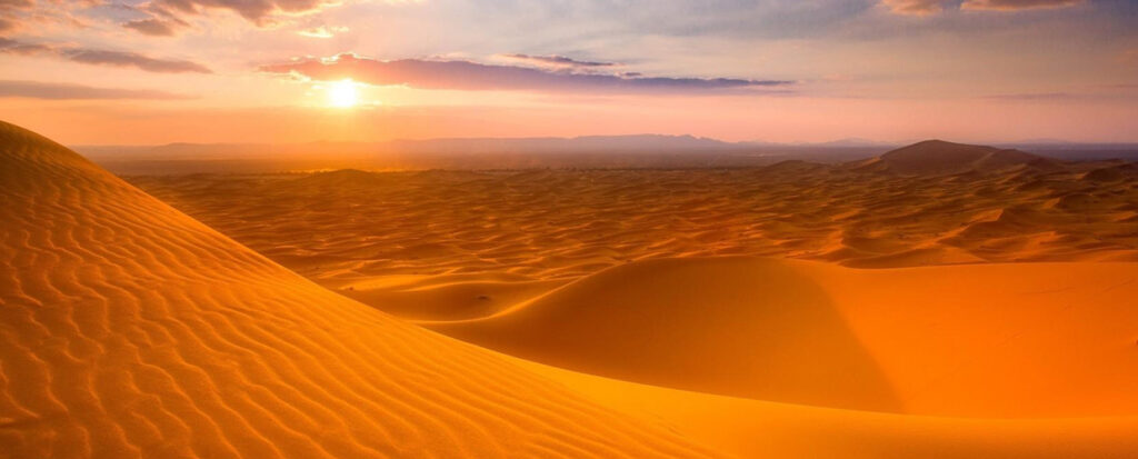 Main Activities of the Evening Desert Safari Adventure