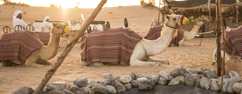 Are Dubai Desert Safaris Enjoyable and Worth it?